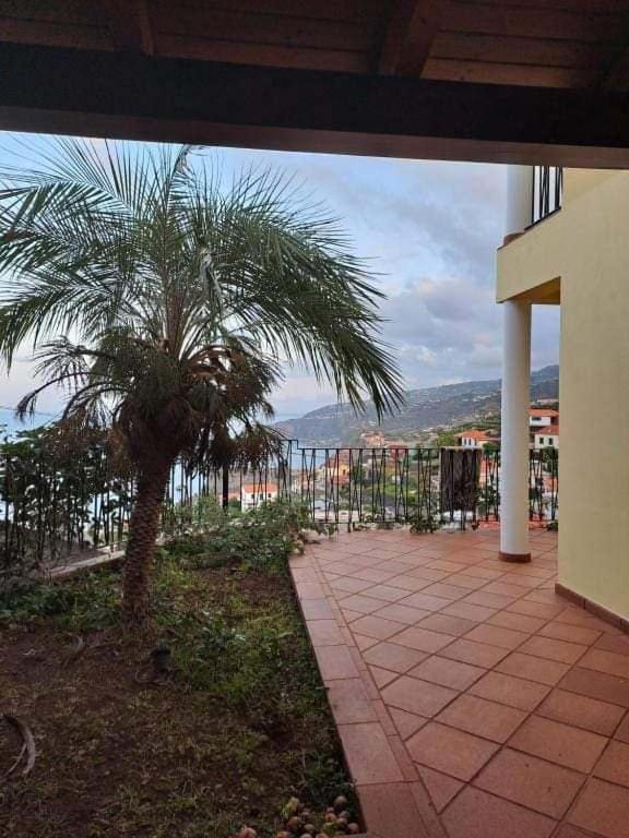 Sea View House Apartment Рибейра Брава Екстериор снимка